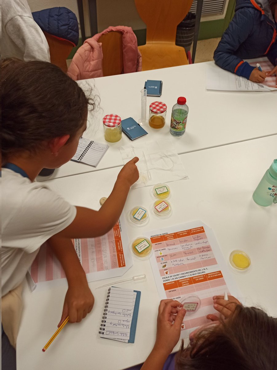 MaraDelMarRui10's tweet image. ¿Por qué las patatas se oscurecen cuando se exponen al aire? 
Indagados cómo diferentes sustancias afectan a la oxidación de la patata y ver cuál es más efectiva para conservarla.