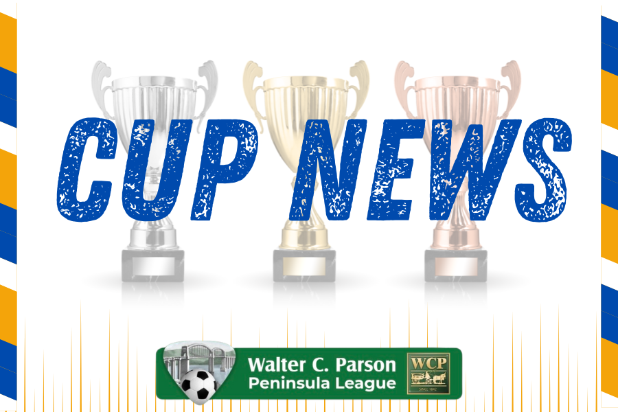 WALTER C. PARSON PENINSULA LEAGUE tweet media