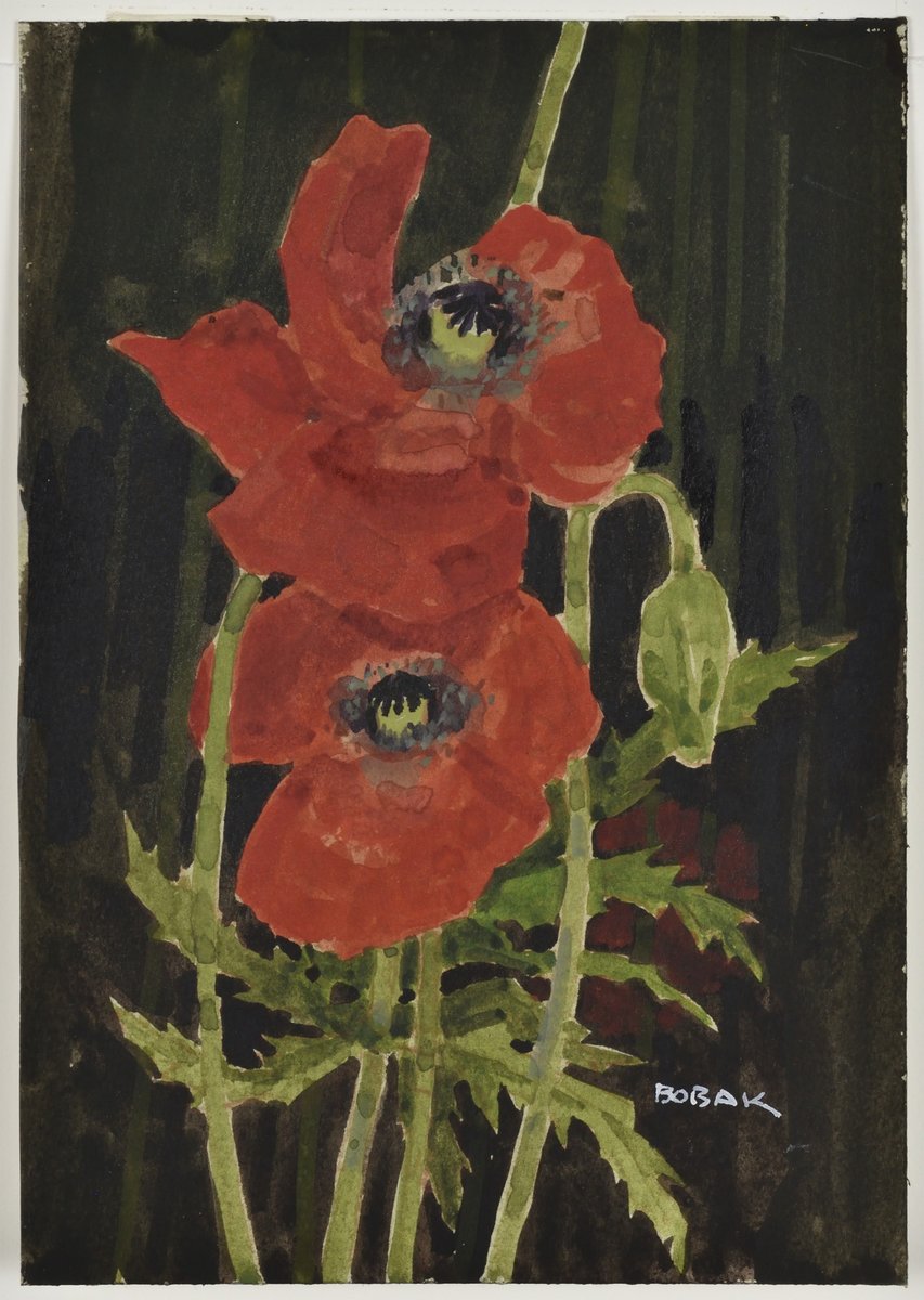 En ce jour du Souvenir, nous nous tournons vers l'œuvre du artiste Bruno Bobak, qui a fièrement servi le Canada en tant qu'artiste de guerre officiel de 1944-46. Cette étude de coquelicots rend hommage à cette fleur qui est le symbole du souvenir depuis la 1re Guerre mondiale.