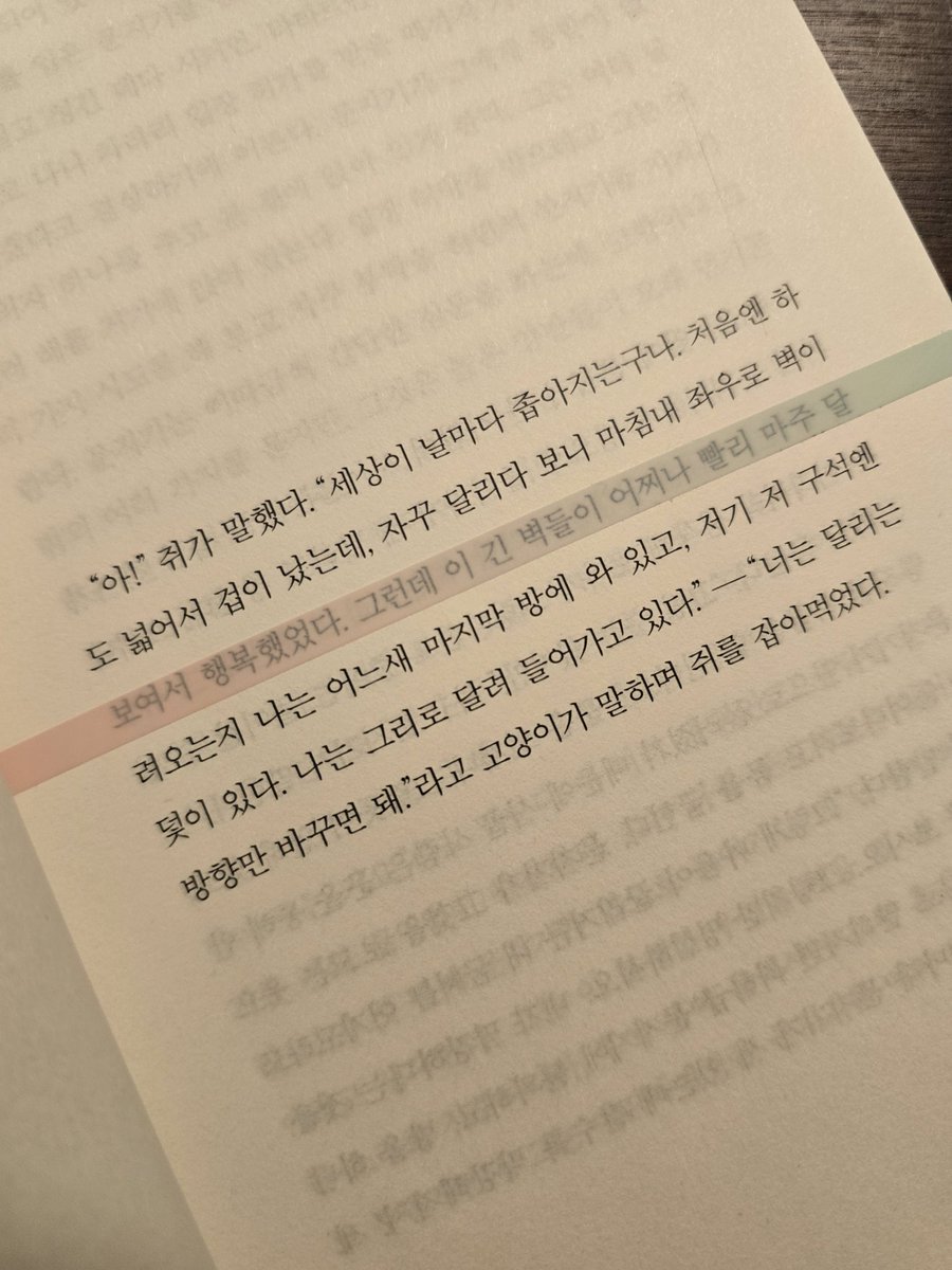 이번 주 읽고 있는 책📚
프란츠 카프카,《변신. 시골의사》