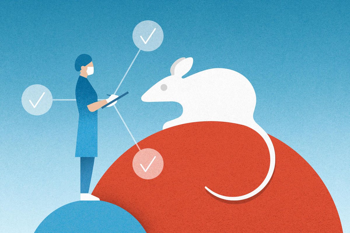 A new popular initiative wants to ban #AnimalExperimentation. This would significantly weaken Switzerland 🇨🇭 as a centre of research. Furthermore, animal testing could be relocated to countries with much less stringent welfare rules.
➡️ sohub.io/mk1w