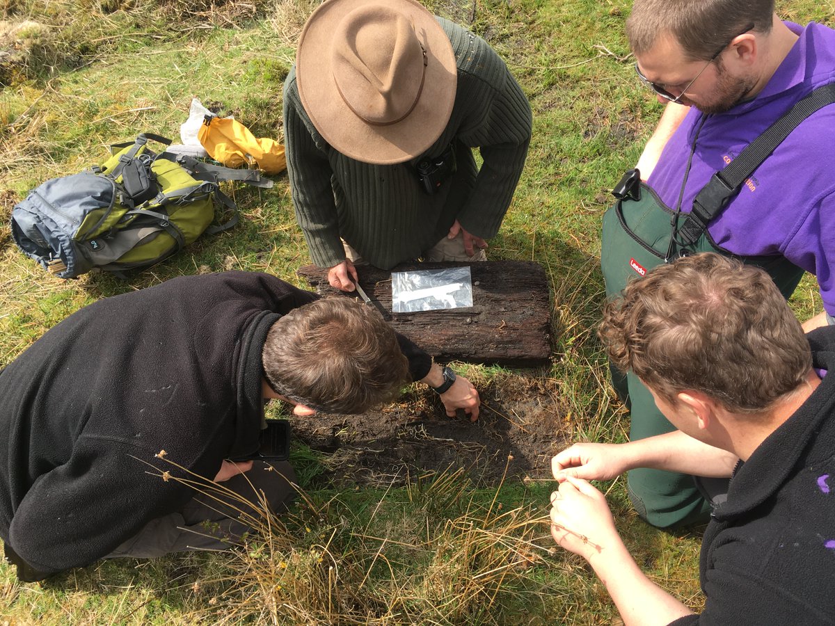 ARC_Bytes's tweet image. Do you live in or near Dorset or the New Forest? 
Come and volunteer with our Field team. Habitat management, construction and surveying on ARC reserves. 
Read more about what we do and fill in the volunteer sign up form👉 arc-trust.org/reserve-manage…