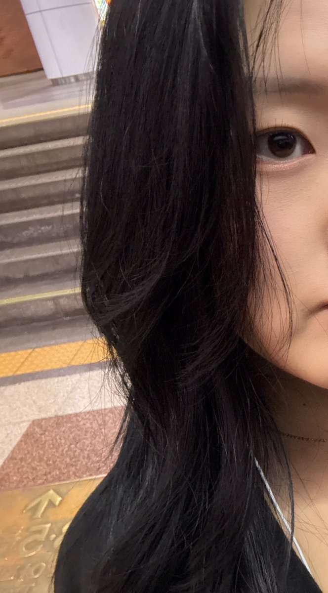 다니는 미용실 쌤한테 인정받은 헤어케어 광인으로써
찰랑 머릿결을 위한 극극극극손상모 추천템 타래...➿

- 제 두피와 모발 상태를 우선 설명 해 보자면, n년 간 몇십 번의 탈색과 염색 그리고 블랙 또 블랙빼기, 붙임머리 등등의 시술을 반복하며 두피와 모발을 혹사시킨 후 톤다운 염색을