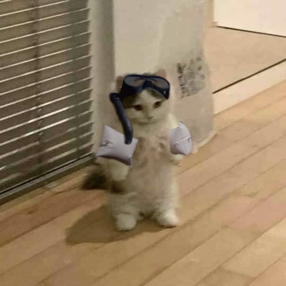 sheepbabu's tweet image. 