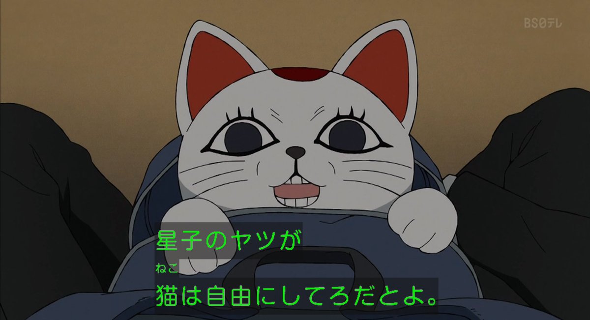 ダンダダン 6話見た〜 アブラ乗ってきたなぁ！ んでターボババア(猫)の