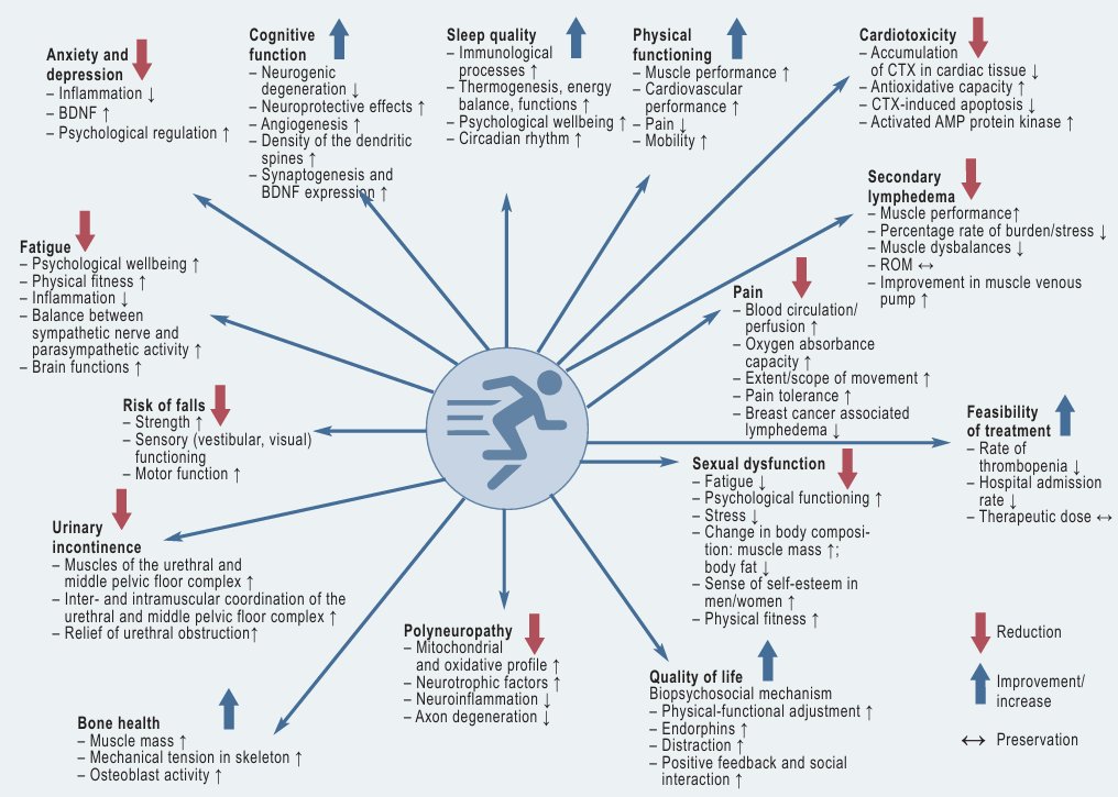 The many reasons why exercise is great against cancer. Whether the effects or direct or indirect, exercise is medicine regardless.

pubmed.ncbi.nlm.nih.gov/38509786/

#exerciseismedicine #exercise #oncology #cancer #prevention #treatment #exercisephysiologist #exercisephysiology