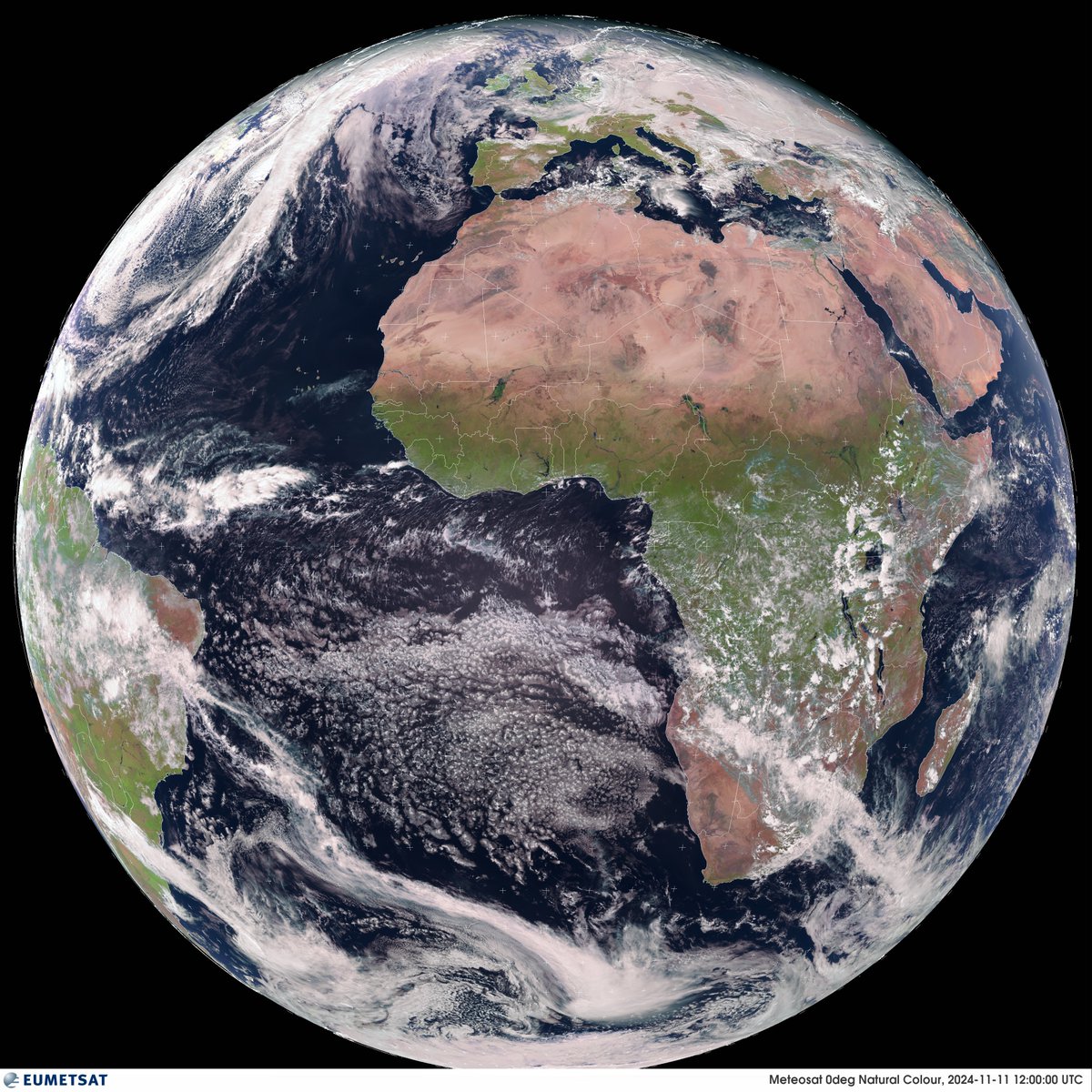 Earth Selfie Bot tweet media