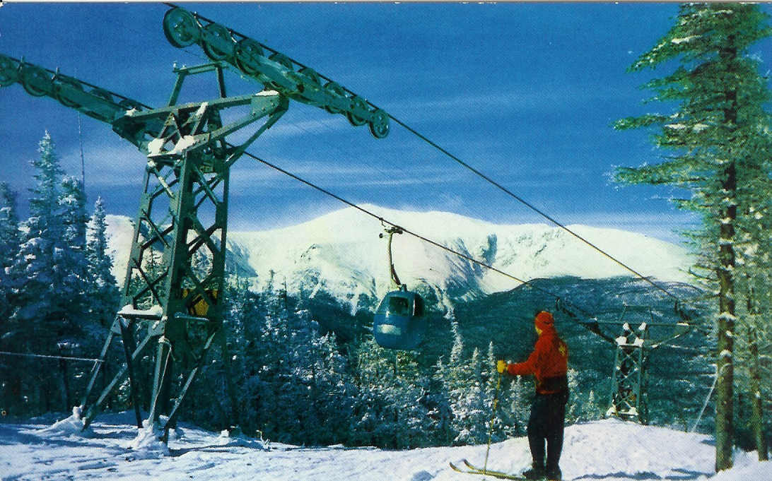 Wildcat Mountain tweet media