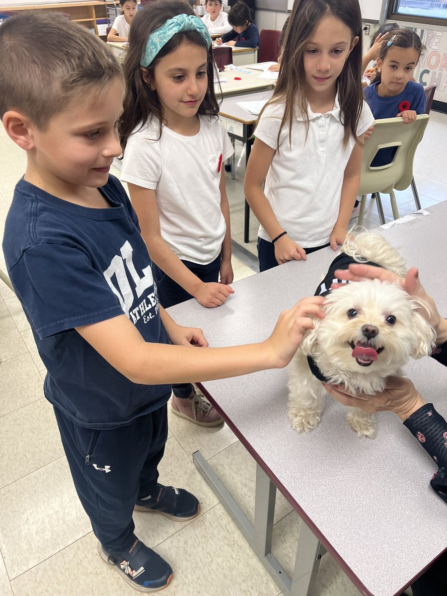 Ms. Halliday 🍎 tweet media