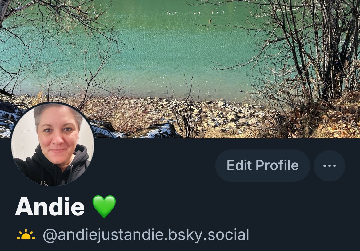 Andie🇨🇦 tweet media