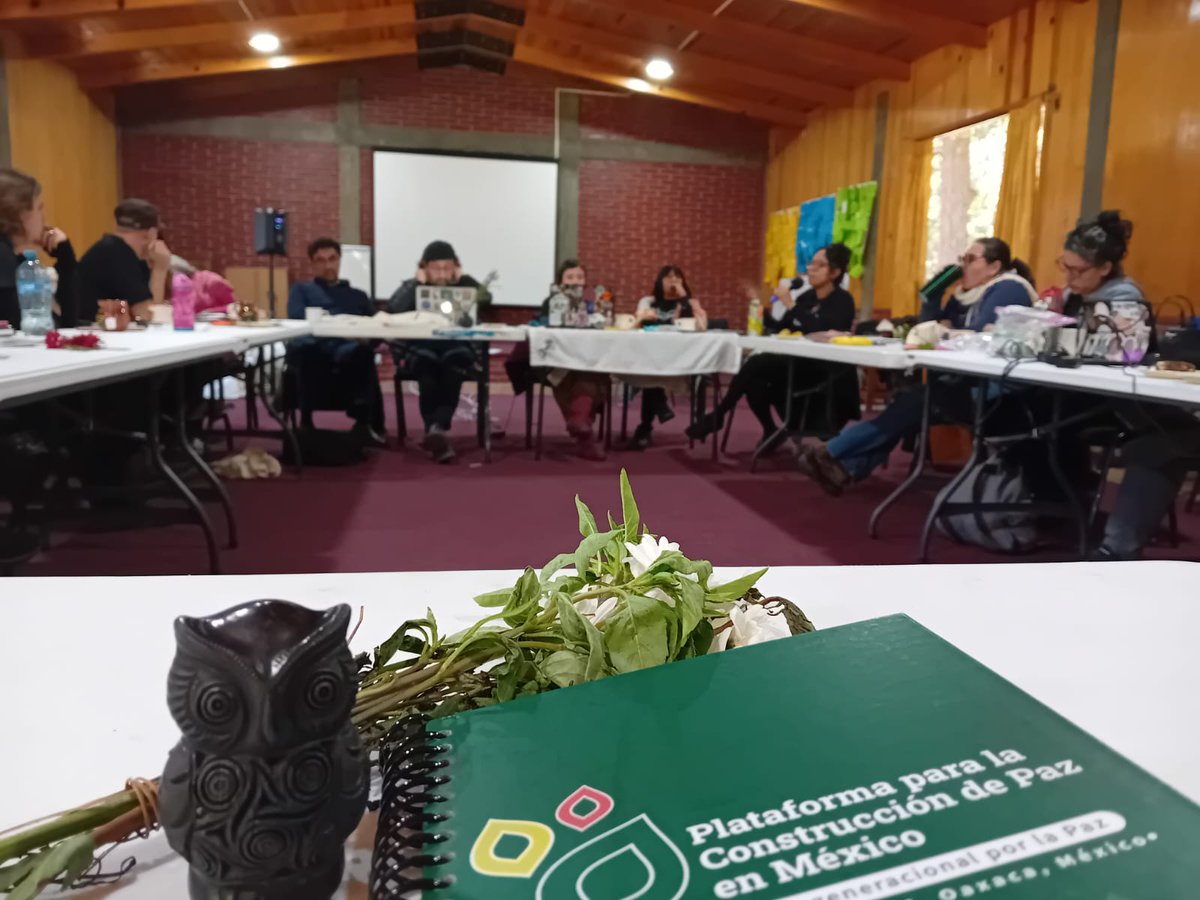 ICIPeace's tweet image. 📍En Oaxaca hemos celebrado el 3r encuentro de la Plataforma para la Construcción de Paz en #Mexico, con un diálogo intergeneracional con #jóvenes del país.

Hemos escuchado sus inquietudes y necesidades. Sus aportaciones son claves para avanzar en la construcción de #paz.