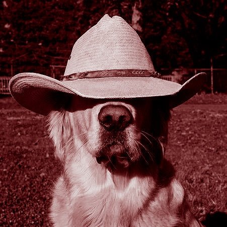 ᅠㅤㅤㅤᅠㅤᅠᅠㅤㅤㅤᅠㅤᅠᅠㅤㅤㅤᅠㅤᅠᅠㅤㅤㅤᅠㅤᅠᅠㅤㅤㅤᅠㅤᅠᅠㅤㅤㅤᅠㅤᅠᅠㅤㅤㅤᅠㅤᅠᅠㅤㅤㅤᅠㅤᅠᅠㅤㅤㅤᅠㅤᅠᅠㅤㅤㅤᅠㅤᅠᅠㅤ