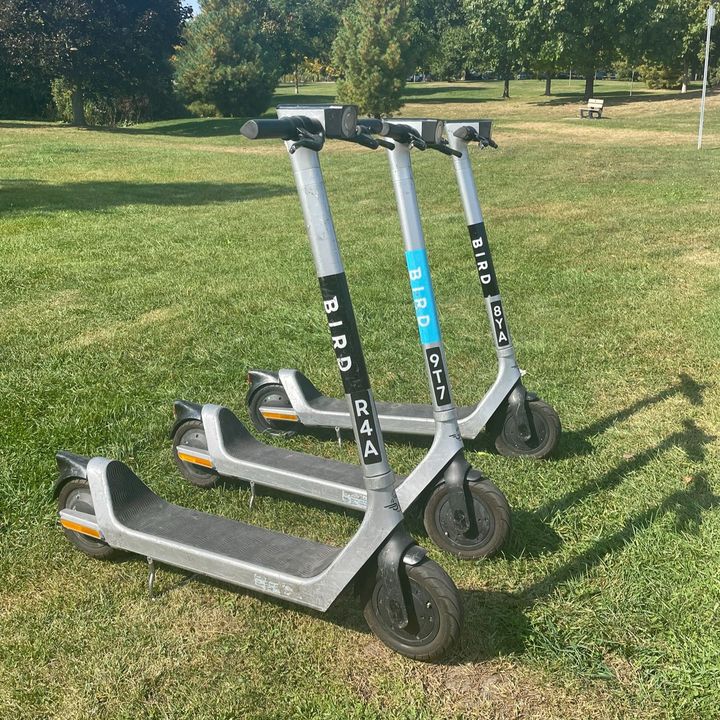 👋Hey, Ajax! Due to the upcoming winter months, TOA’s Shared E-scooter &amp; E-bike Pilot Program offered through <a href="/BirdRideCanada/">Bird Canada</a> will close today. 🛴

Thank you for taking part in the ride this season!👏

➡️More information will be available in 2025 at ajax.ca/emobility