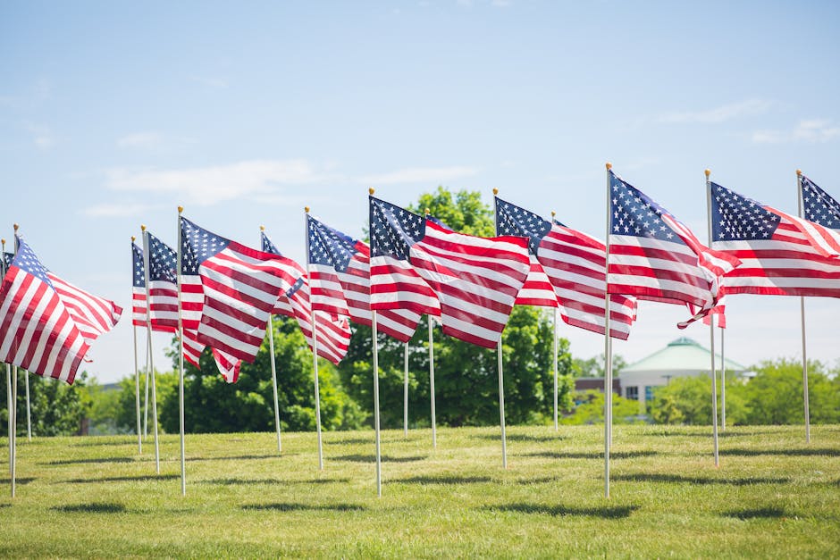 AmVetsMagazine's tweet photo. Honoring those who served. Thank you to all veterans for your courage, dedication, and sacrifice. We remember and appreciate you today and every day. #VeteransDay https://t.co/FiSeJ2Ls5V