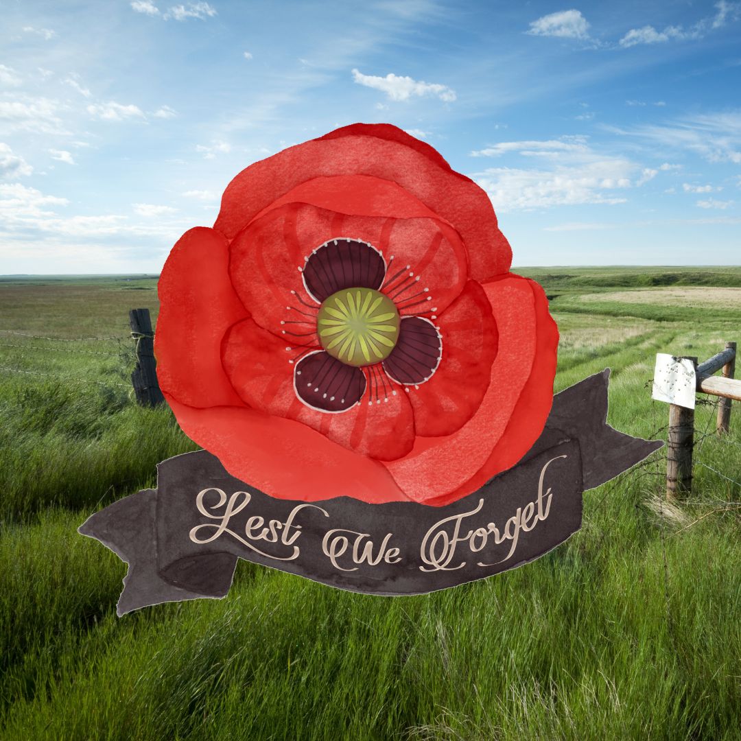 Today, we honor those who have served and continue to serve our country. We remember their courage, sacrifices, and dedication to protecting our freedoms. Our gratitude extends beyond November 11th—your bravery will never be forgotten. Thank you. #LestWeForget