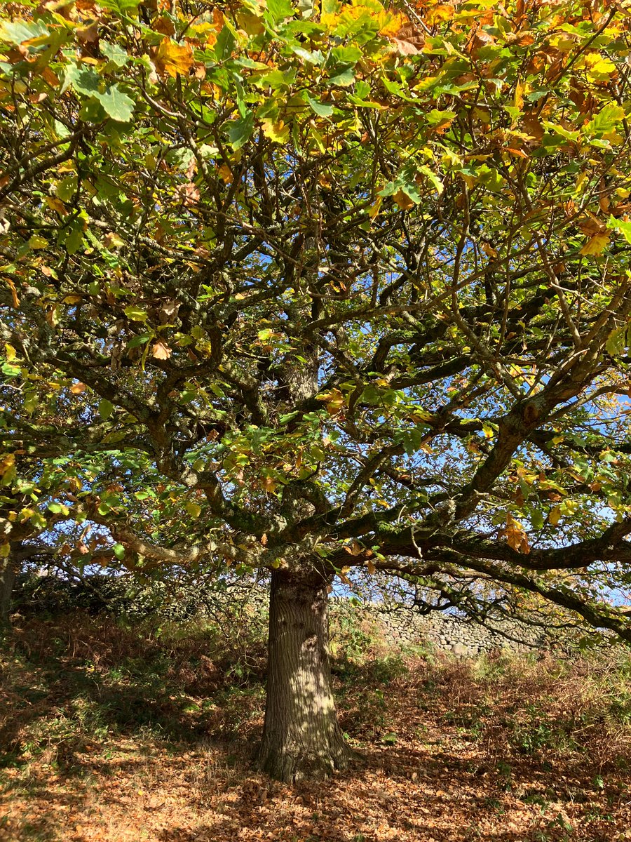 Aidan Smith tweet media