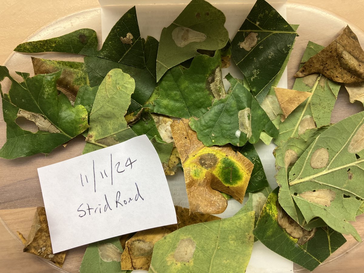 Aidan Smith tweet media