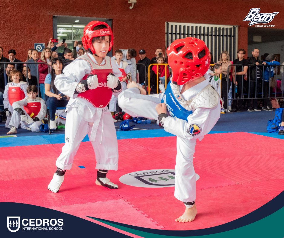 Cedros International School tweet media