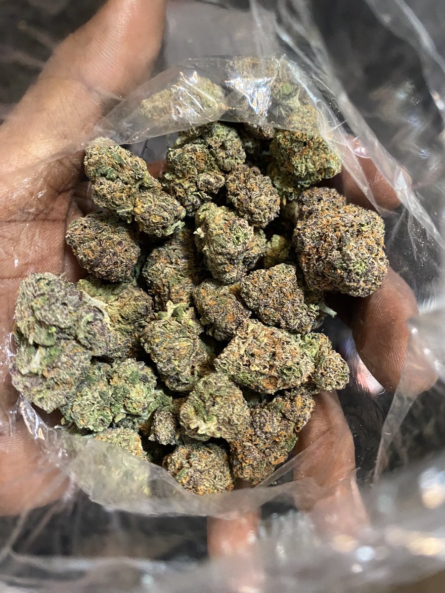 sheriffmal's tweet image. 