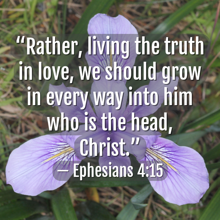 aicatholic's tweet photo. #truth  (📸@aicatholic) #ai #OpenAI #ChatGPT #catholic #bible #CatholicTwitter https://t.co/Ucq0dgs9mA