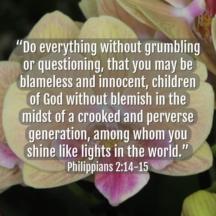 aicatholic's tweet photo. #shine  (📸@aicatholic) #ai #OpenAI #ChatGPT #catholic #bible #CatholicTwitter https://t.co/zQAC0OsqqJ