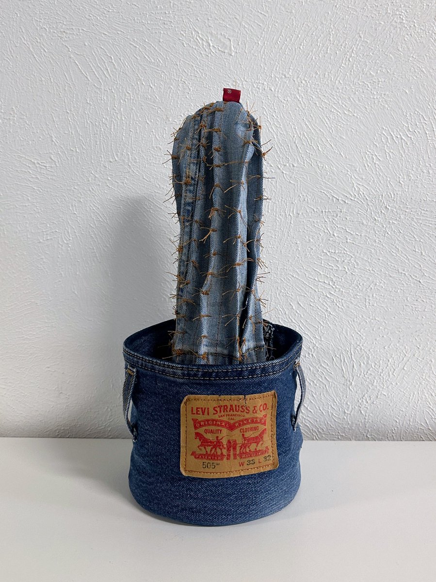 I made a cactus with some old Levi’s