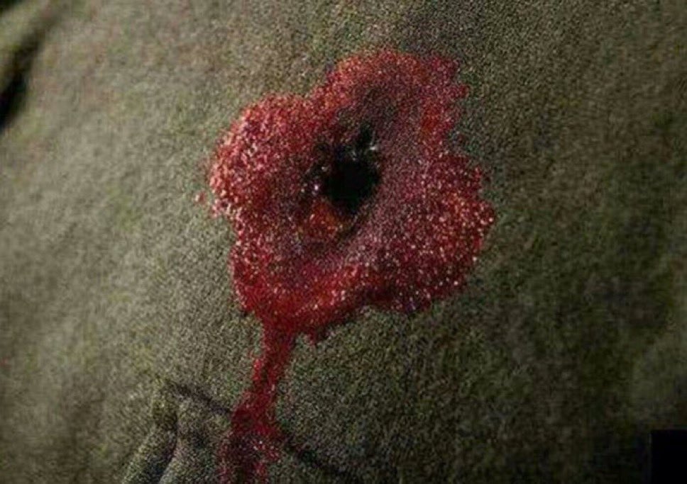 BrentToderian's tweet image. On #RememberanceDay in Canada we say #LestWeForget because forgetting means we fail to honour those who gave their lives defending freedom from fascists and nazis. And all those who still defend us today.

It’s also because if we forget, we’re doomed to repeat.

That’s more…