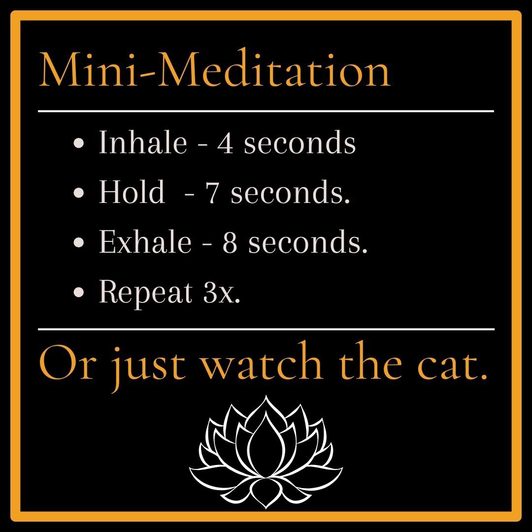 jacobdmundell's tweet photo. Here’s 15 seconds of Zen to help you take on your Monday.
I hope you are well, you deserve it.
#CatZen #ZenCat #Cat #Cats #Zen #Mondays #Meditate #Calm #Relax #Breath #BreathingExercise https://t.co/Ydilz0c93x
