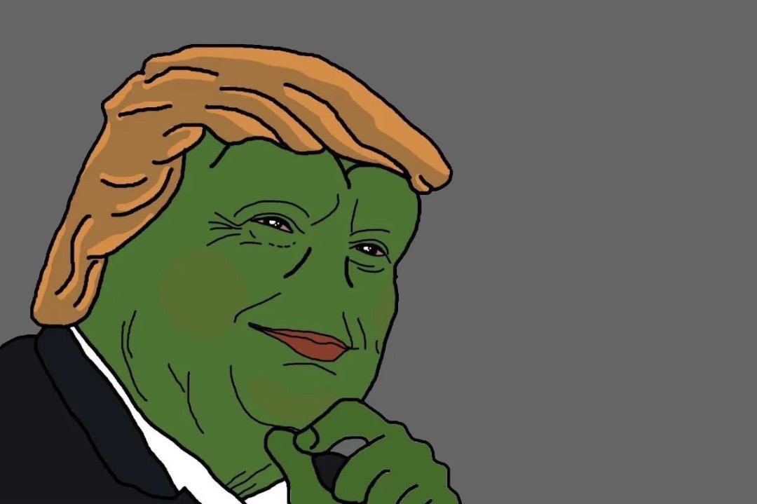 Imagine fading the only real president pepe