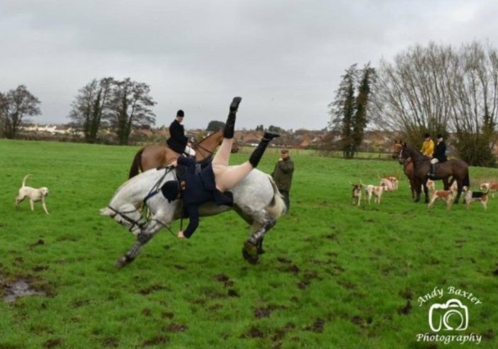 jolly_angelina's tweet image. A favourite from my album. You&apos;re welcome to share 😎 #BanHuntingWithDogs NOW!