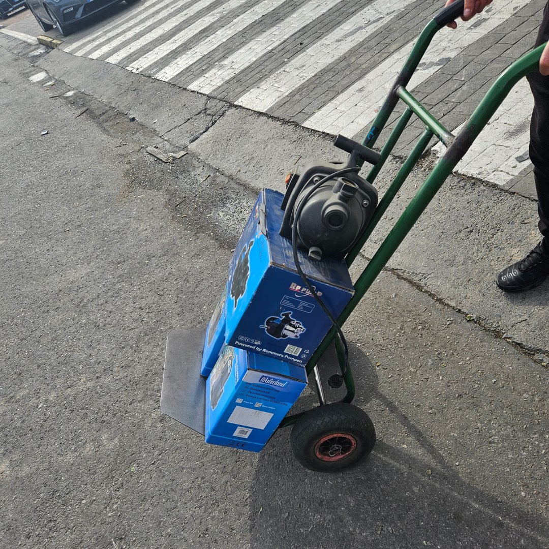 Plantasur tweet media