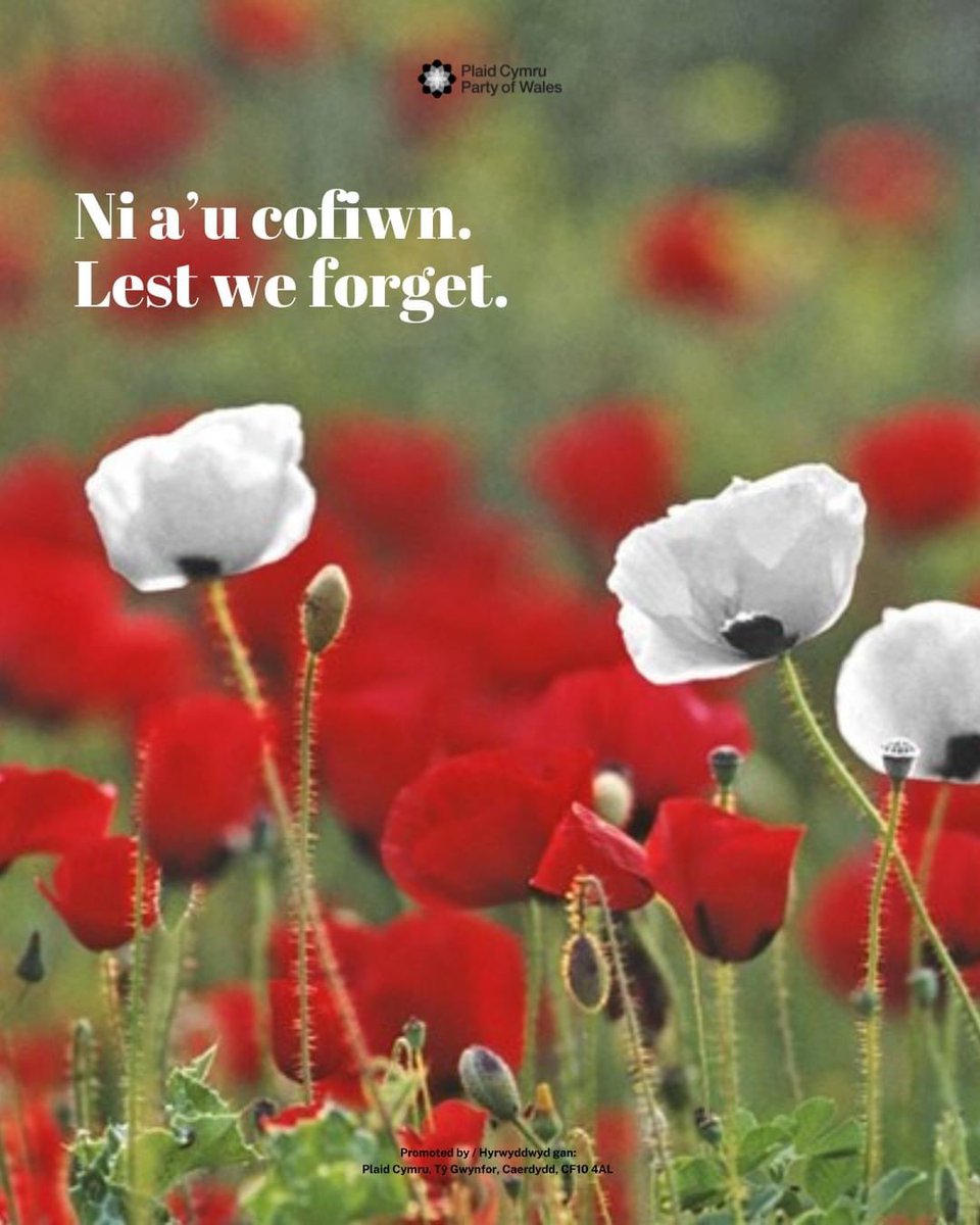 Plaid Cymru RCT (@plaidcymrurct) on Twitter photo 