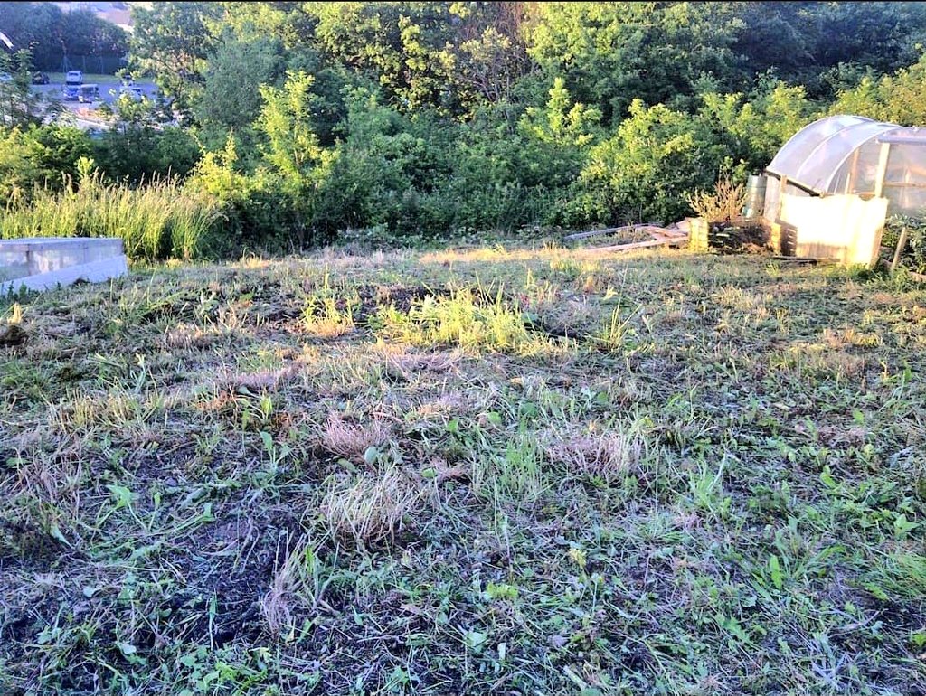 🌱Lovely_Plot 💅🇵🇱🇬🇧🪷🐞🐝 tweet media