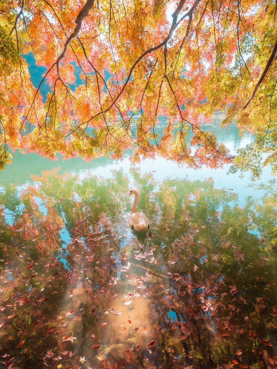 春と秋だと、どっちが好きだろう。