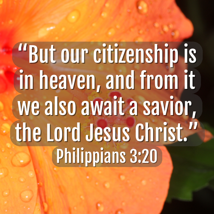 aicatholic's tweet photo. #citizensofheaven (📸@aicatholic) #ai #OpenAI #ChatGPT #catholic #bible #CatholicTwitter https://t.co/88lBbnIwnz