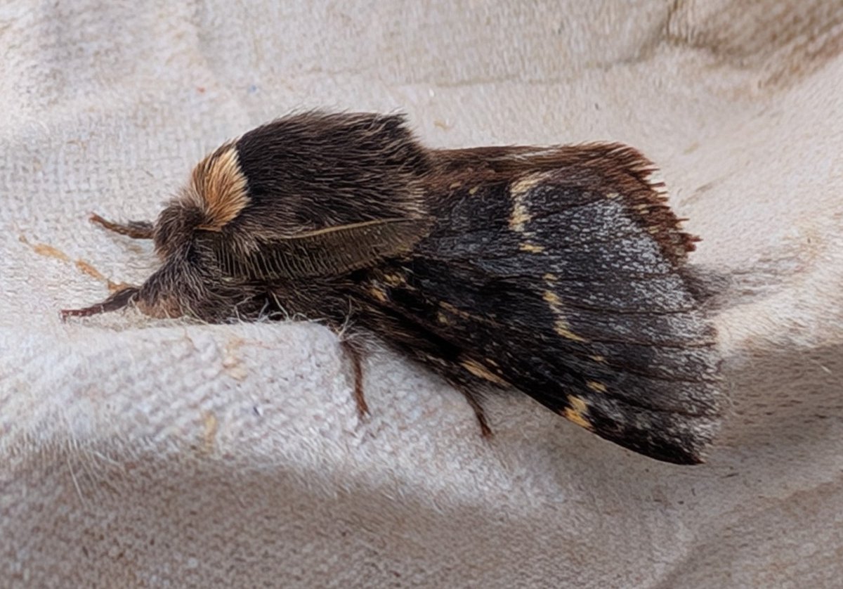 Dr Phil Saunders 🇬🇧 🇪🇺 🌈 tweet media