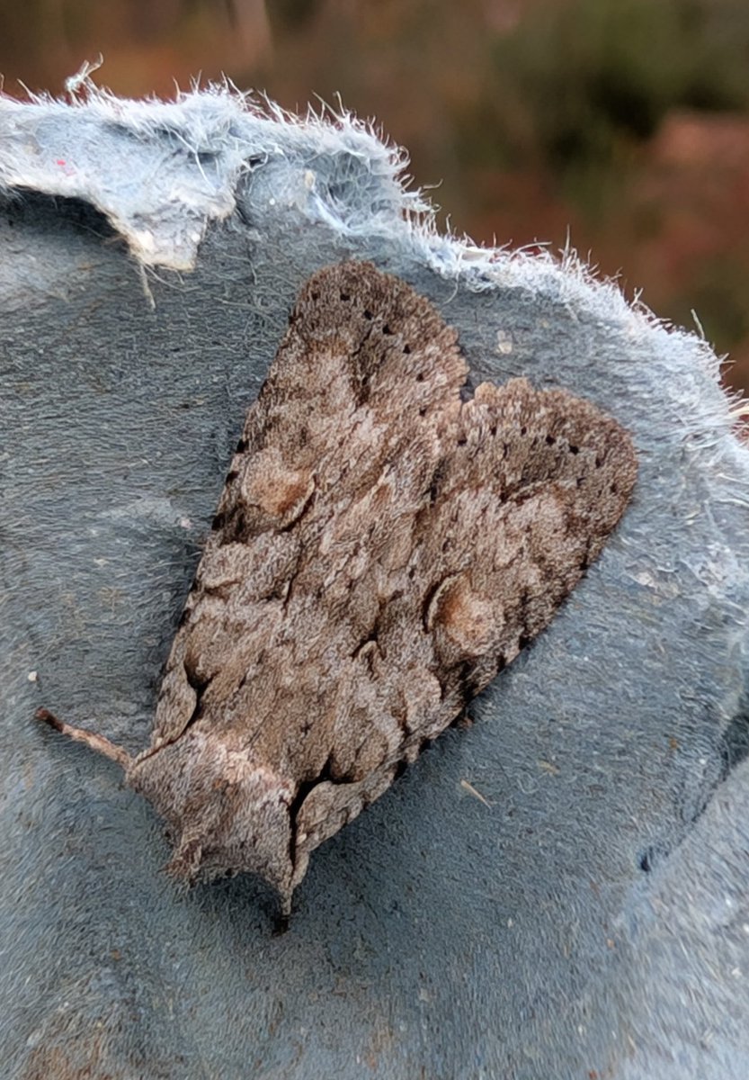 Dr Phil Saunders 🇬🇧 🇪🇺 🌈 tweet media