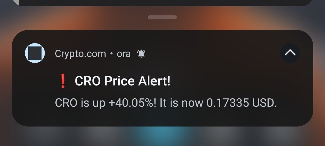 Cryptowizard ₿⚡ tweet media