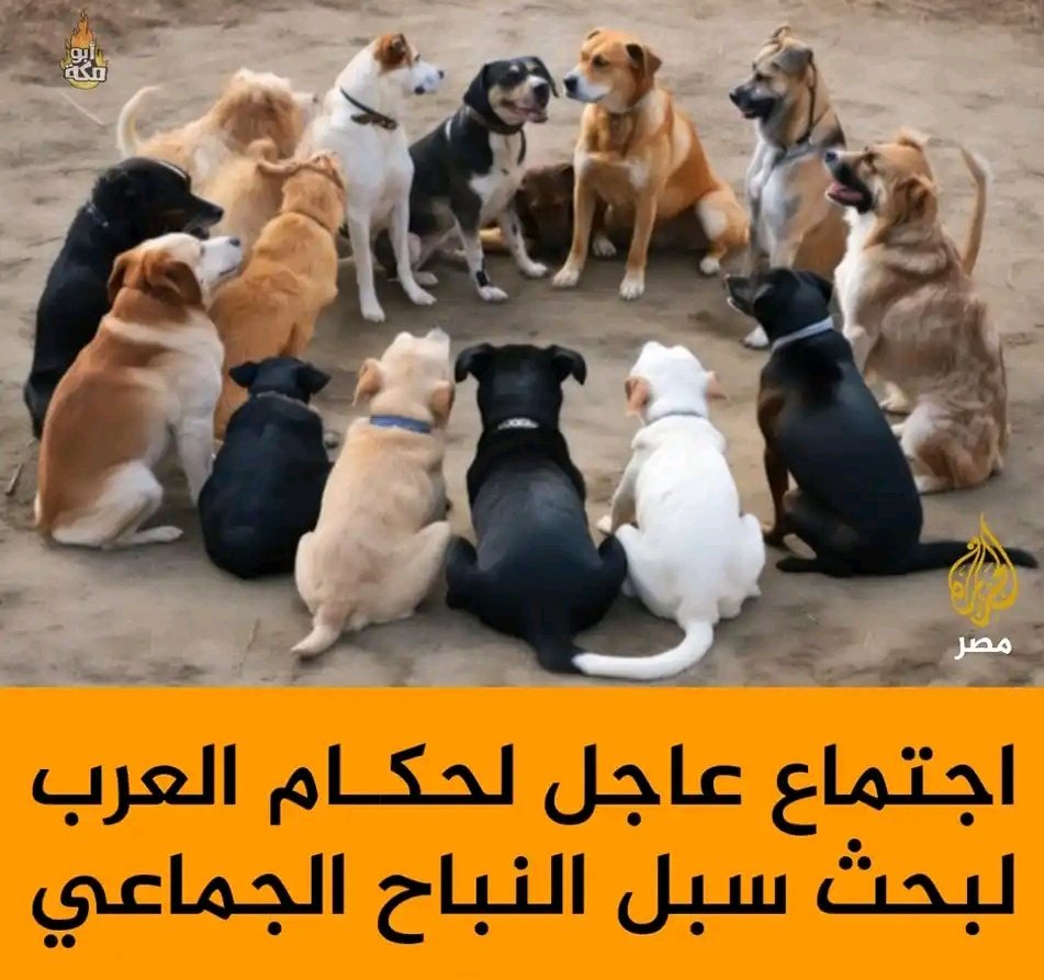 القمة العربية باختصار #إسرائيل_كيان_إرهابي
