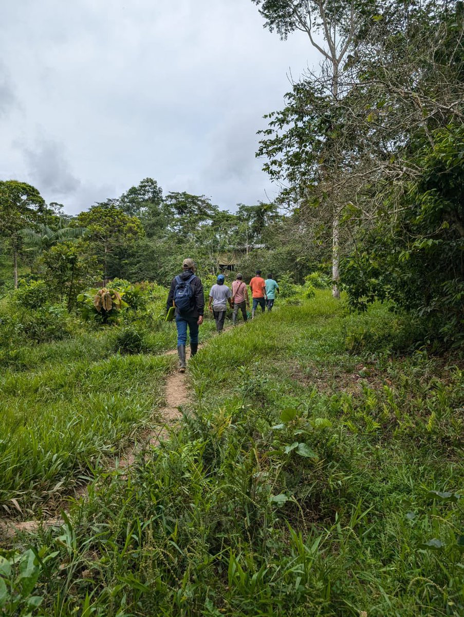 URestitucion's tweet photo. 👉🏼La #URT #Putumayo recorre el territorio de la comunidad Nasa Kwesx Kiwe, en compañía de líderes, autoridades y comuneros, para levantar las afectaciones ambientales que formarán parte del estudio de caracterización, en el marco del Decreto Ley 4633 de 2011.✅🌳 https://t.co/PE7tFfmKNU