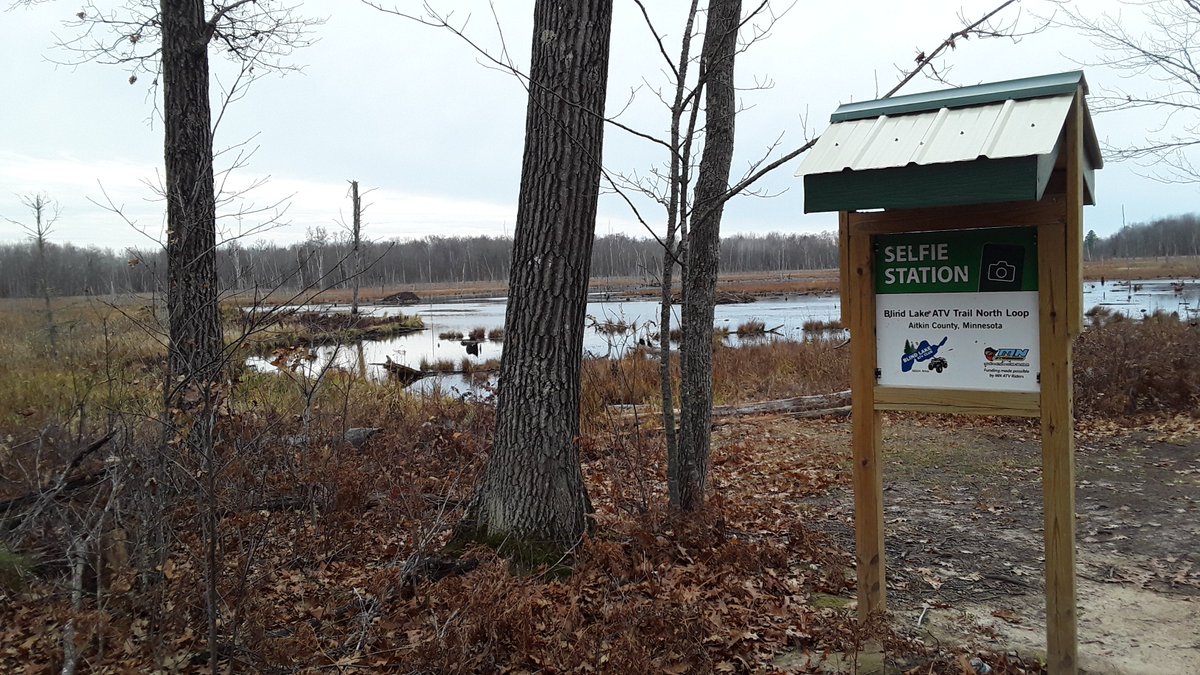 mjeyes's tweet photo. Good weekend hunting. I found a selfie station for the beavers. Lots of beaver sticks. We went to a different zone, we'll probably go back to our regular WMA. We only saw a couple of deer but not big enough to shoot, and it was hot out. The neighbors didnt see any deer #huntmn https://t.co/V8MKR4U0Io