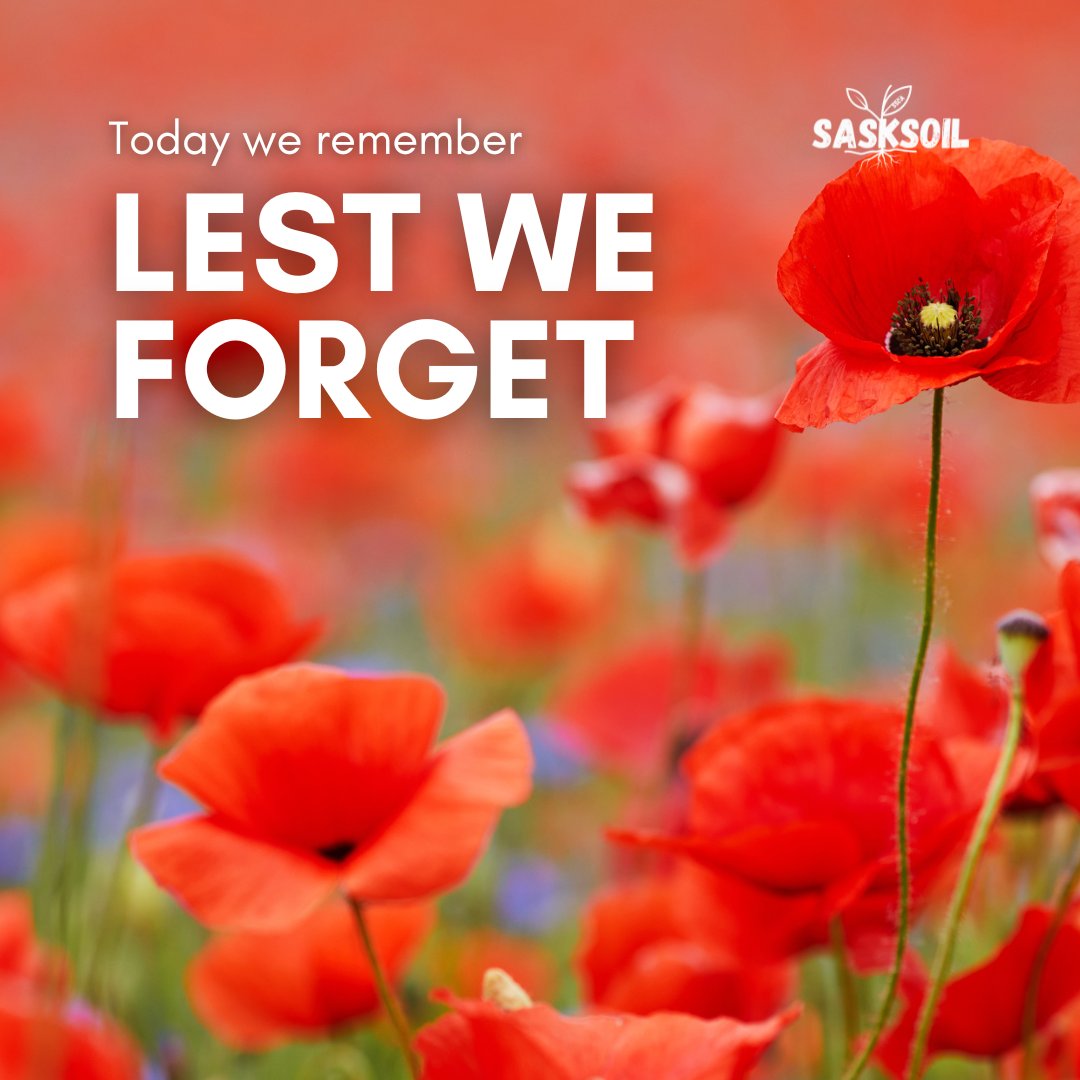 SaskSoil's tweet image. Honoring those who served and sacrificed. 🙏

#RemembranceDay2024 #LestWeForget #FlandersFields #RemembertheBrave