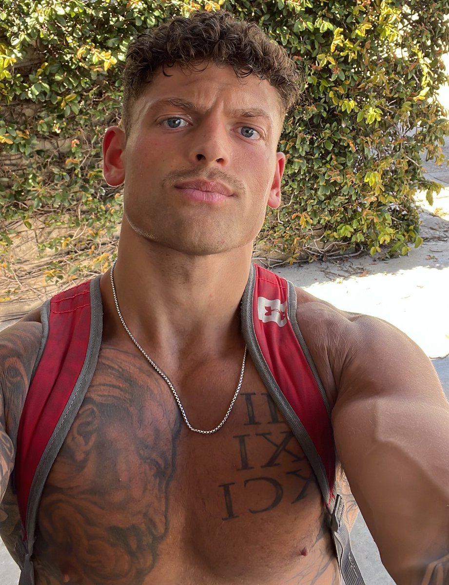 Aaron Maternowski tweet media