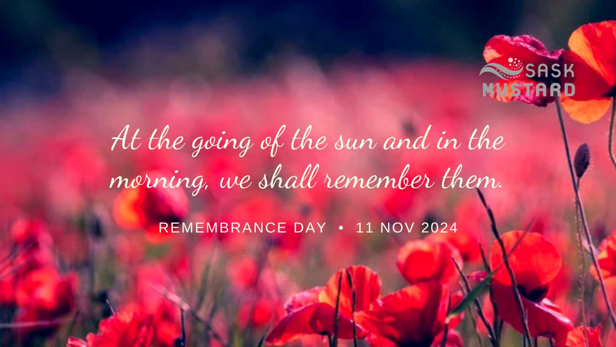 Honoring those who served and sacrificed.

#RemembranceDay2024 #FlandersFields #LetWeForget #RemembertheBrave