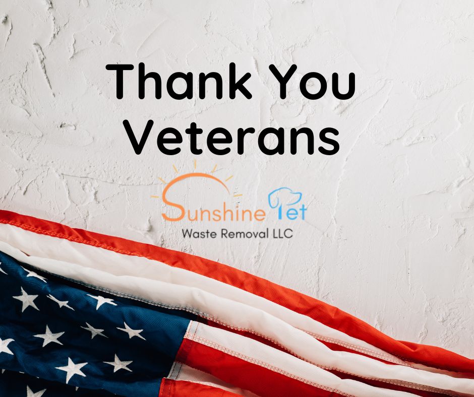 SPWRLLC's tweet photo. Today, we pause to express our heartfelt gratitude to the brave men and women who have served our country. Your courage, dedication, and sacrifice inspire us every day. Thank you for your service and commitment to our freedom. ❤️💙

#VeteransDay #ThankYouVeterans #HonorAndResp https://t.co/3UxQ539GF2