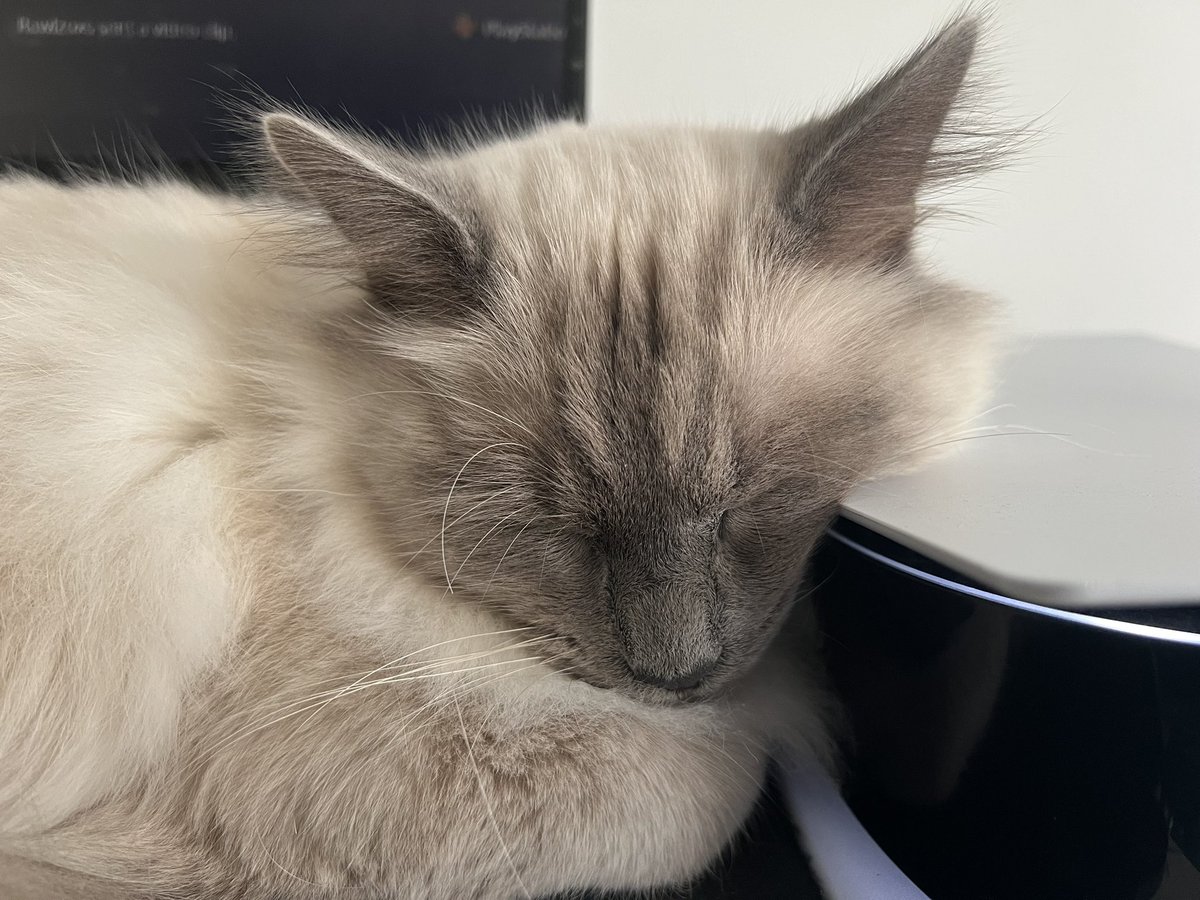 Joe big chillin today