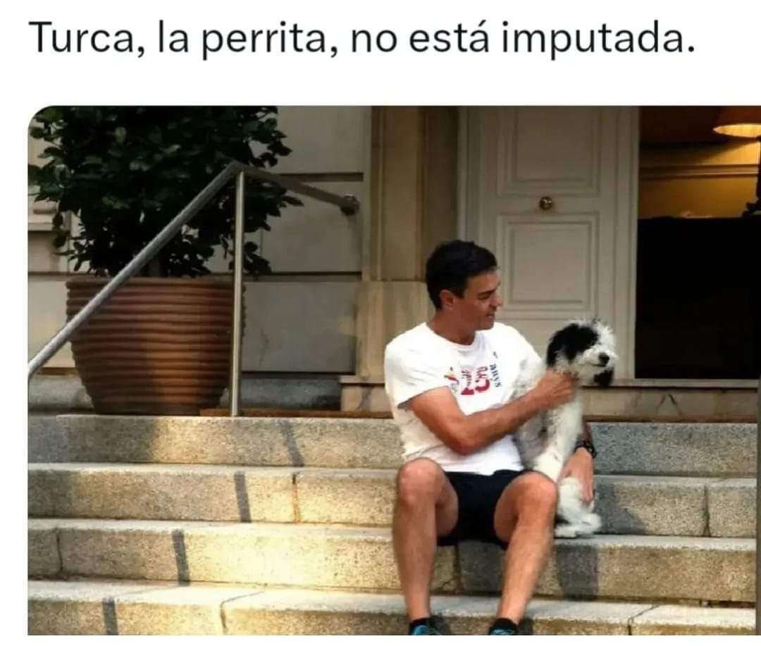 Vctor9503016743's tweet photo. @sanchezcastejon https://t.co/kQCw7jNpWg