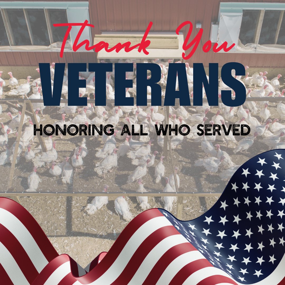 Today, we honor and thank all veterans for their courage, dedication, and sacrifice. 🇺🇸 As we gather around the table with loved ones this season, let’s remember those who have served and continue to protect our freedom. #VeteransDay #ThankYouVeterans #MinnesotaTurkey