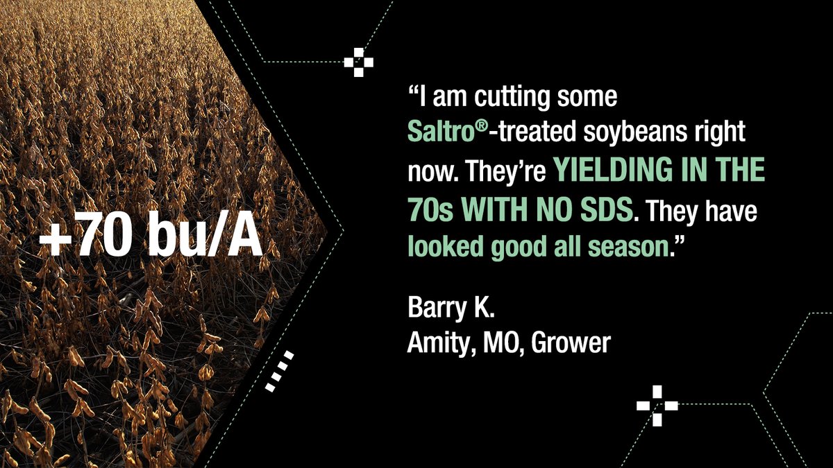 🚨 70+ BU/A and NO SDS 😮! Barry reported high-yielding, good-looking soybeans with NO SDS, thanks to Saltro! See how you can get more out of your soybeans in #plant25: bit.ly/4hIrJ4b