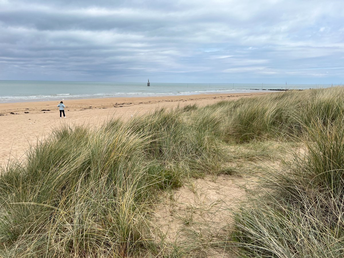 James Ross tweet media